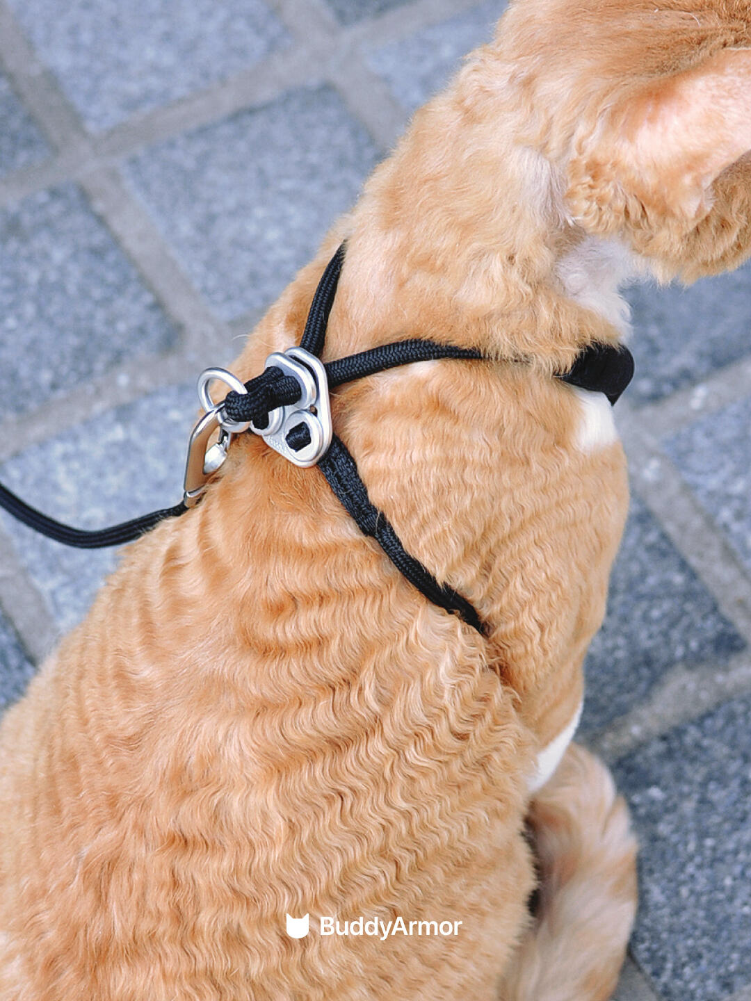 Y-Shape Escape-Proof Cat Harness