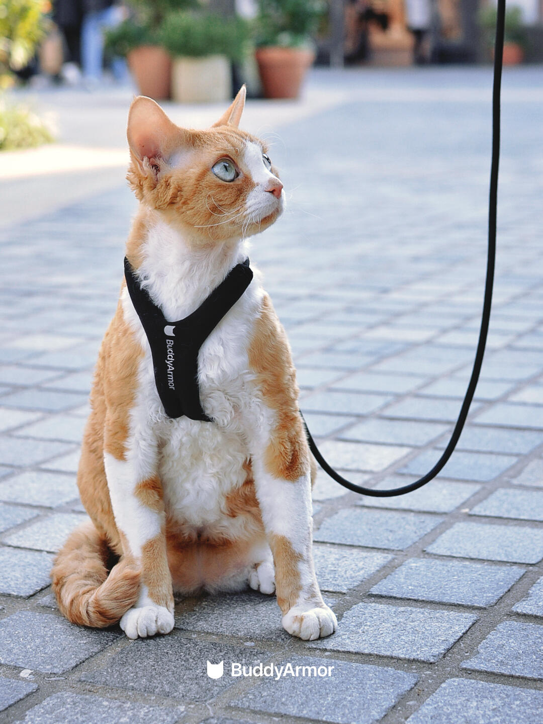 Adjustable Hands-Free Cat Leash
