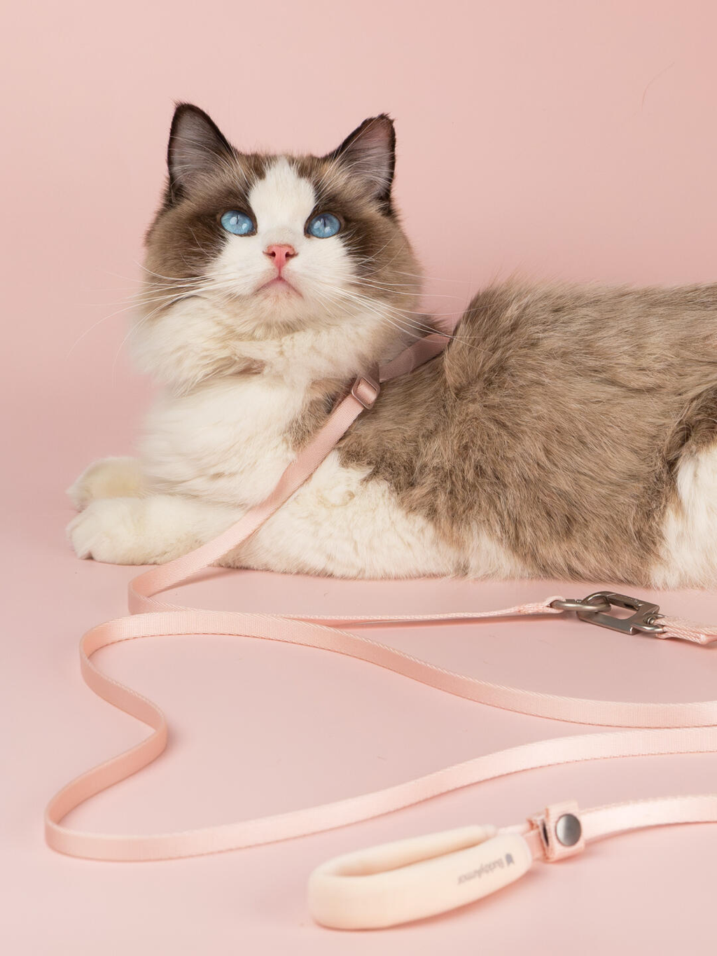 Hands-Free Escepe-Proof Leash