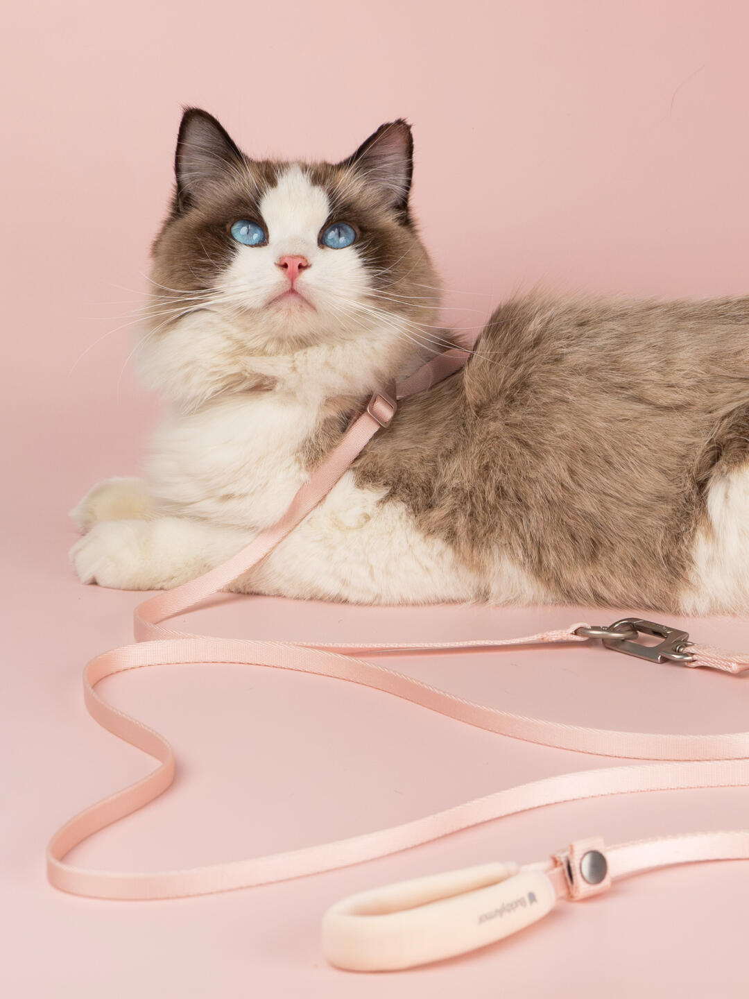 Hands-Free Escepe-Proof Leash