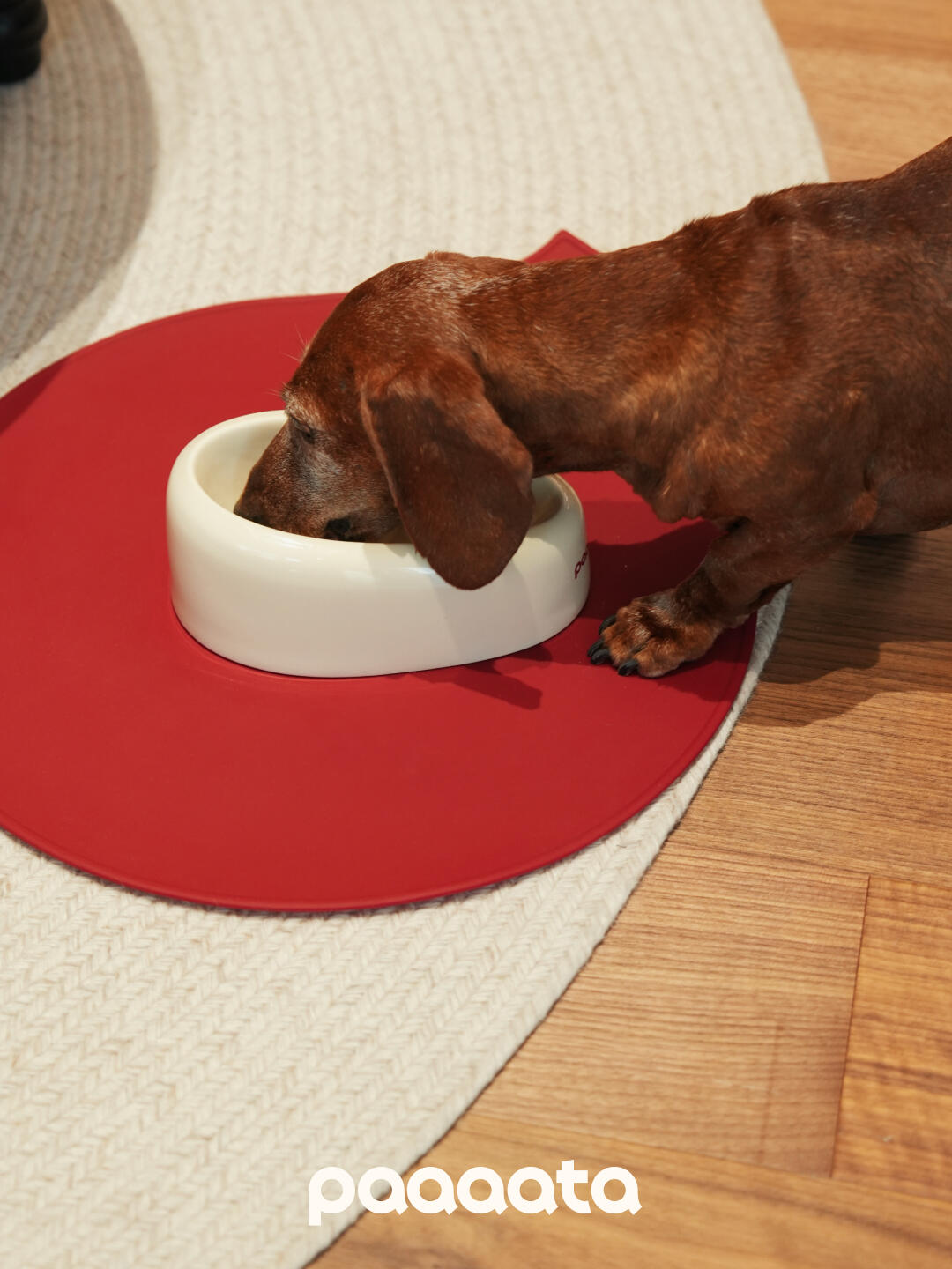 Scilicone Pet Feeding Mat
