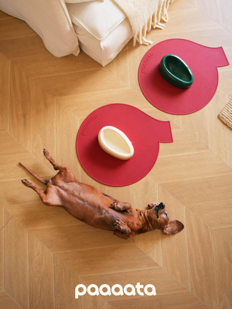 Scilicone Pet Feeding Mat