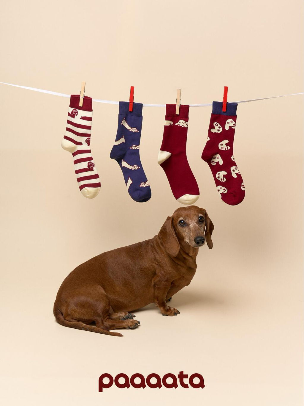 Unisex Cotton Socks
