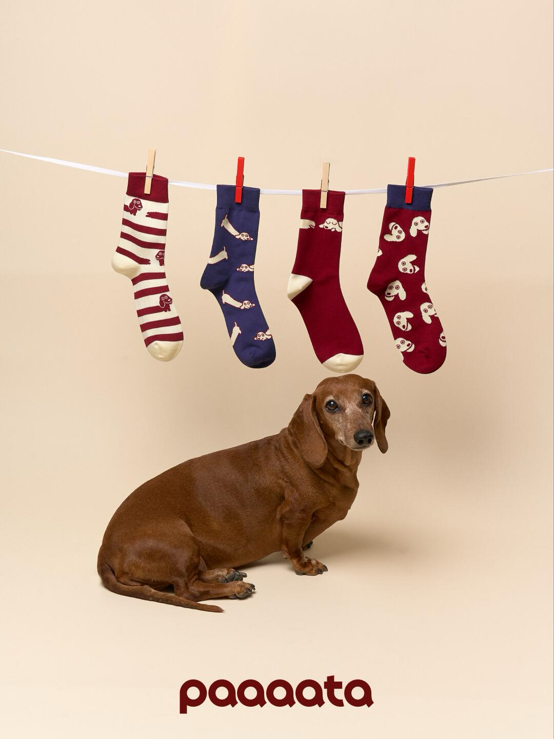 Unisex Cotton Socks