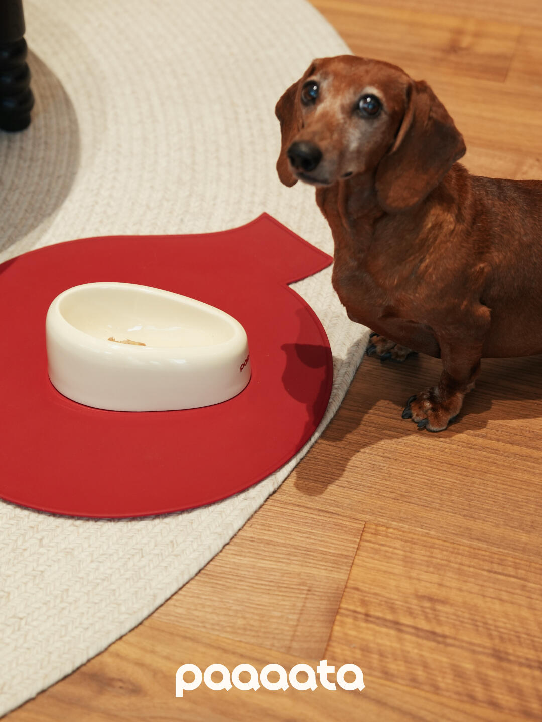 Scilicone Pet Feeding Mat