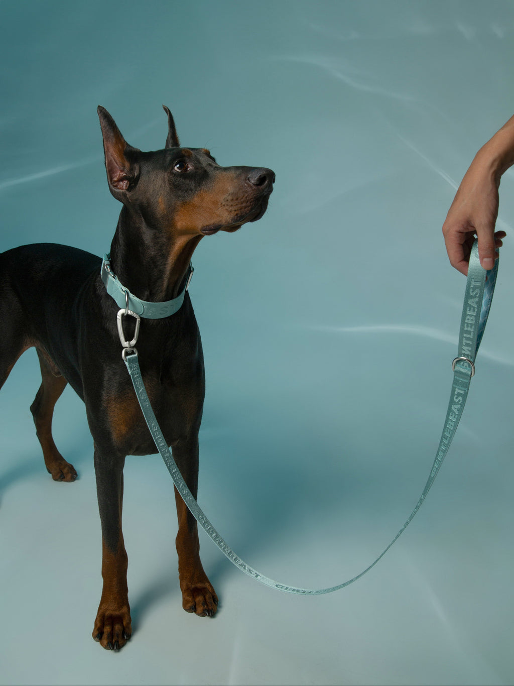 Dog Leash Mint Blue