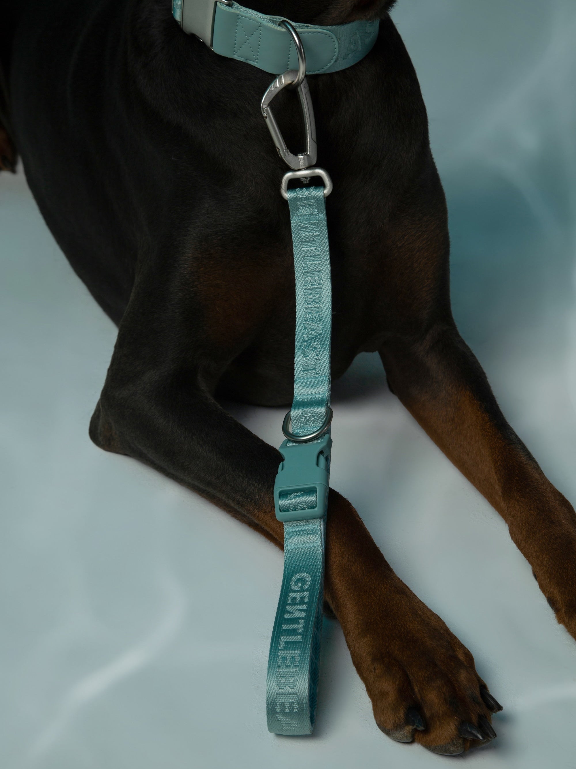 Dog Short Leash Mint Blue