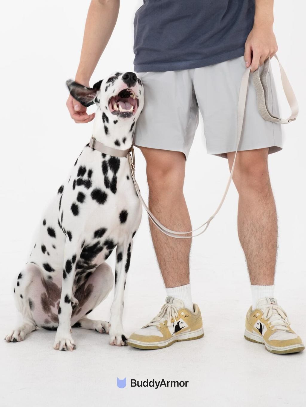 Quick-Release Dog Collar