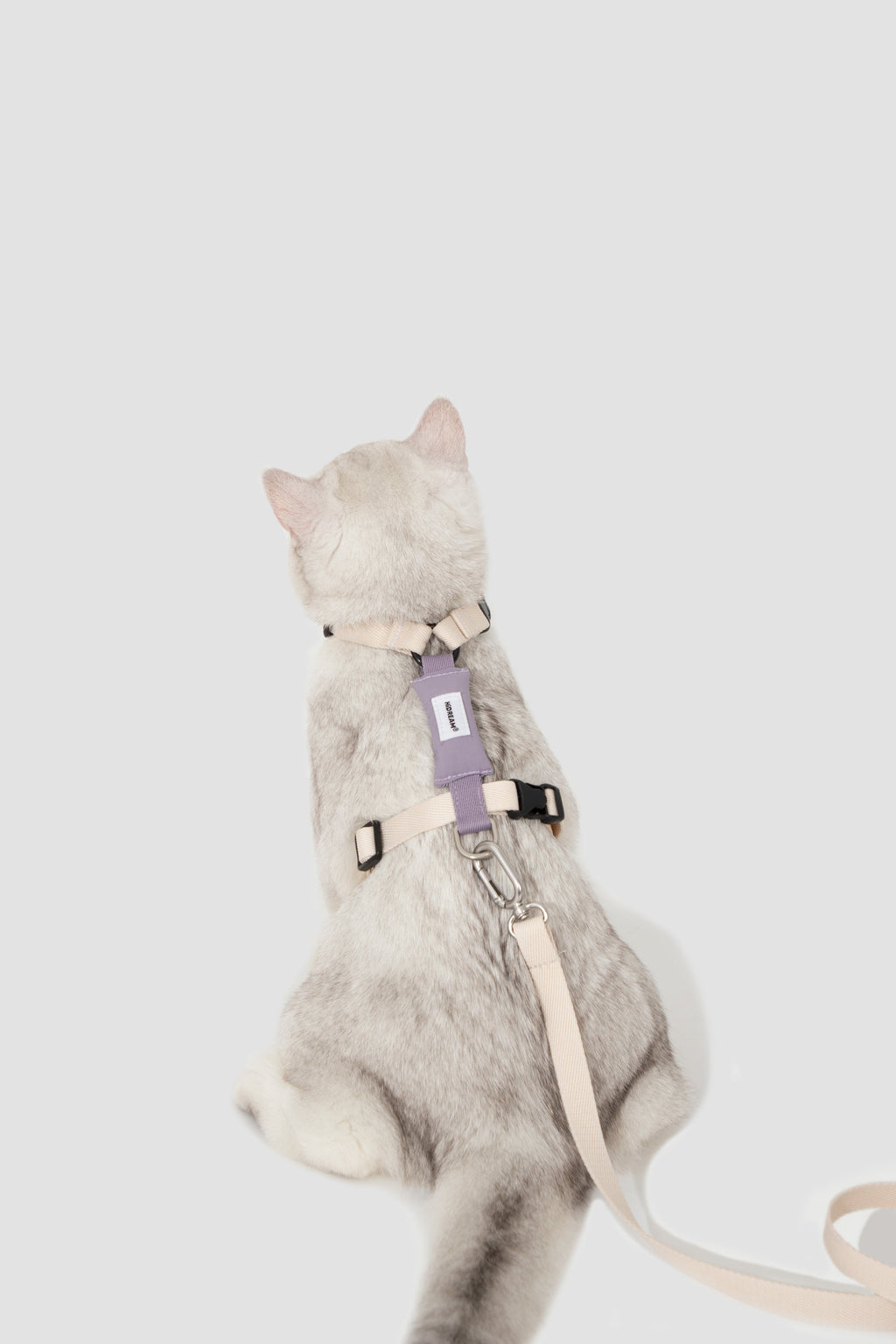 H Strap Adjustable Cat Harness