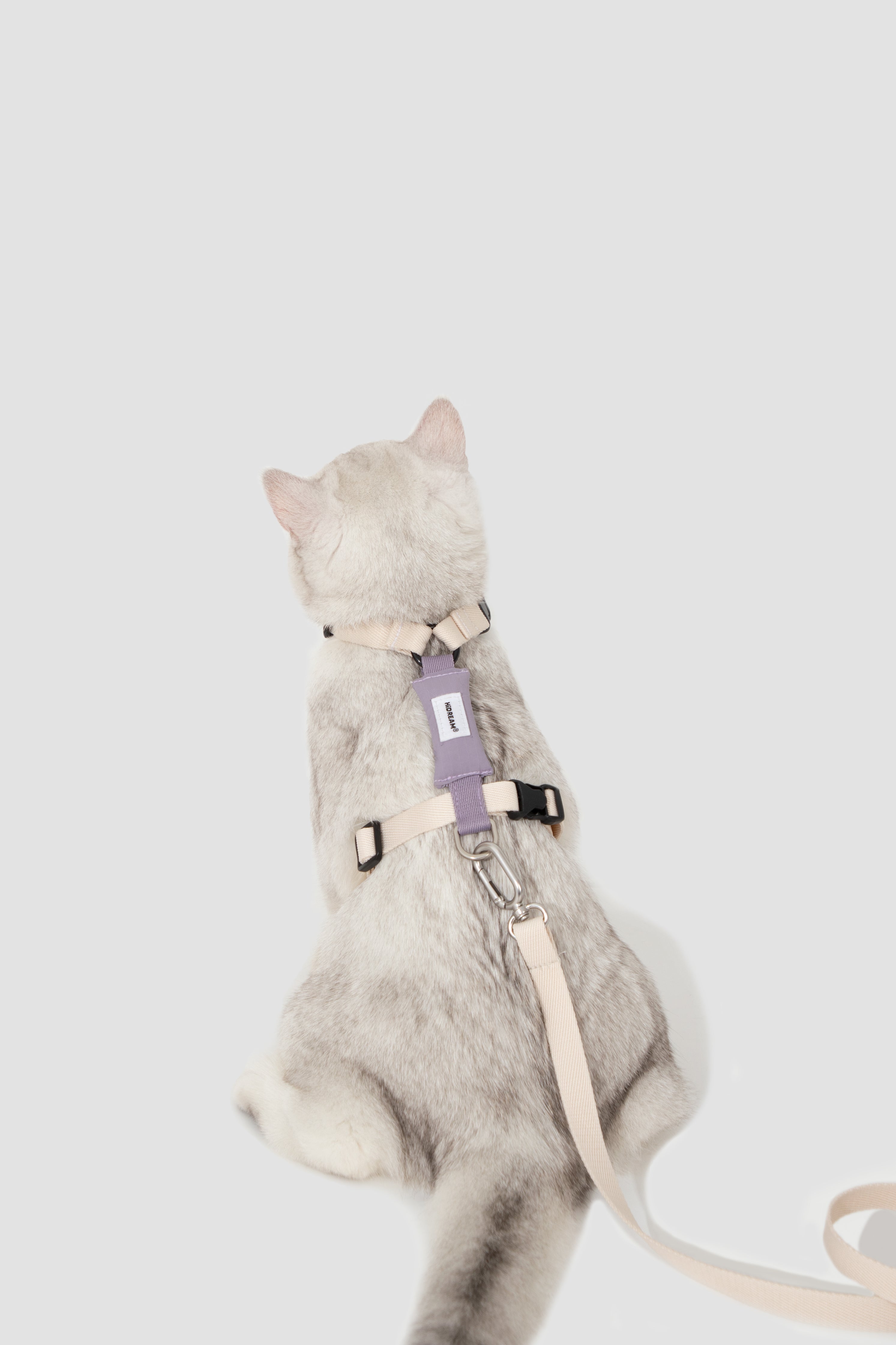 H Strap Adjustable Cat Harness