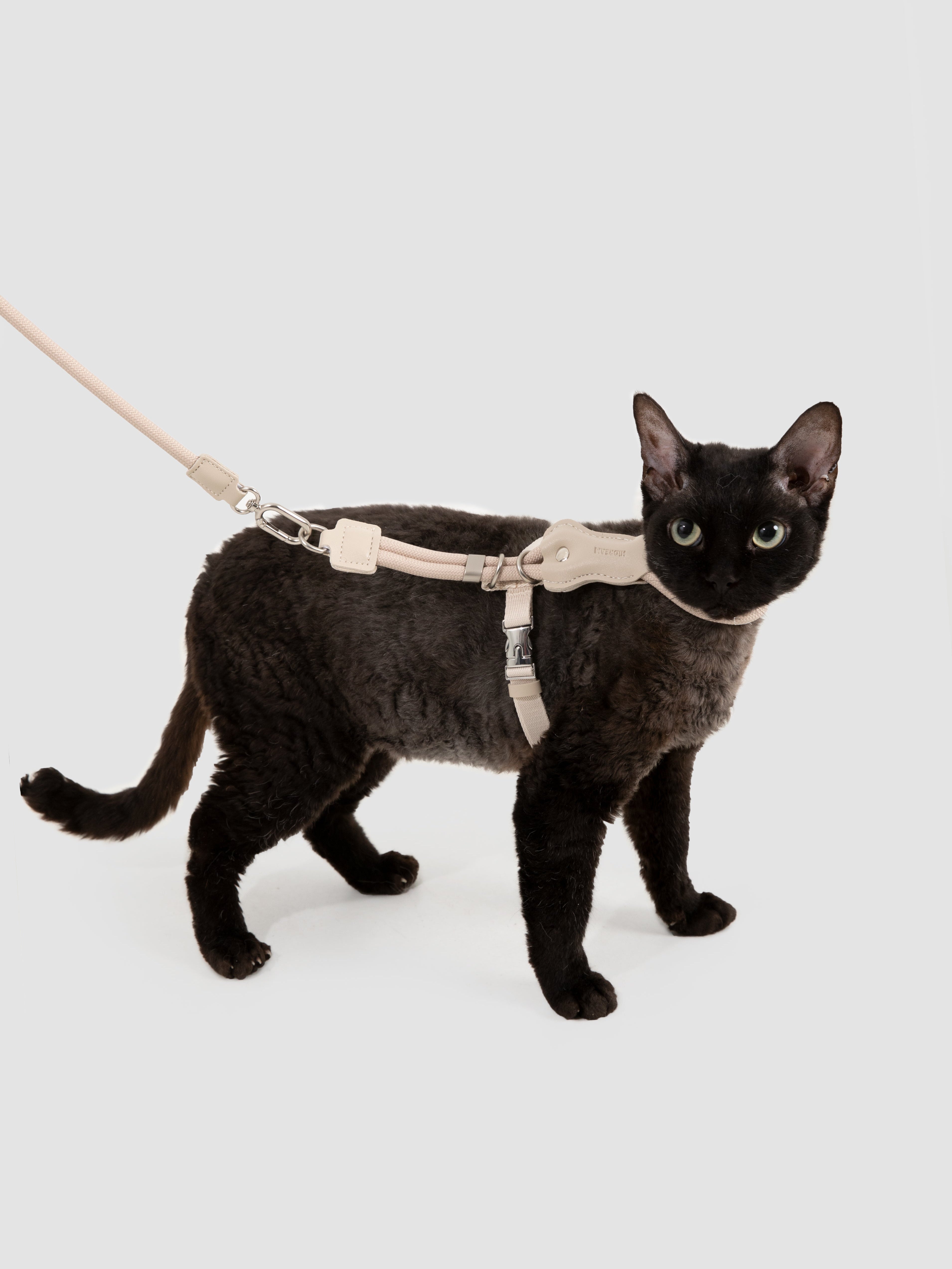 Adjustable Cat Harness & Leash Set