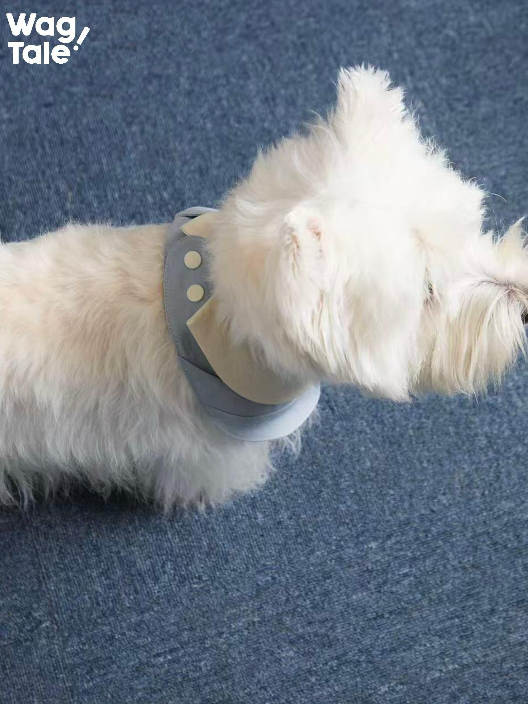 Mini Tie Dog Bandana