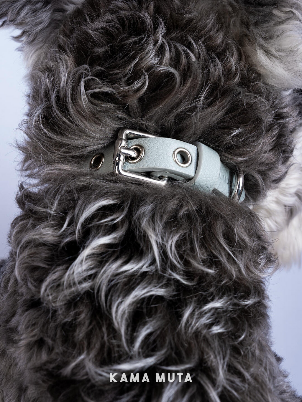 Leather Dog Collar with Pearl Charm