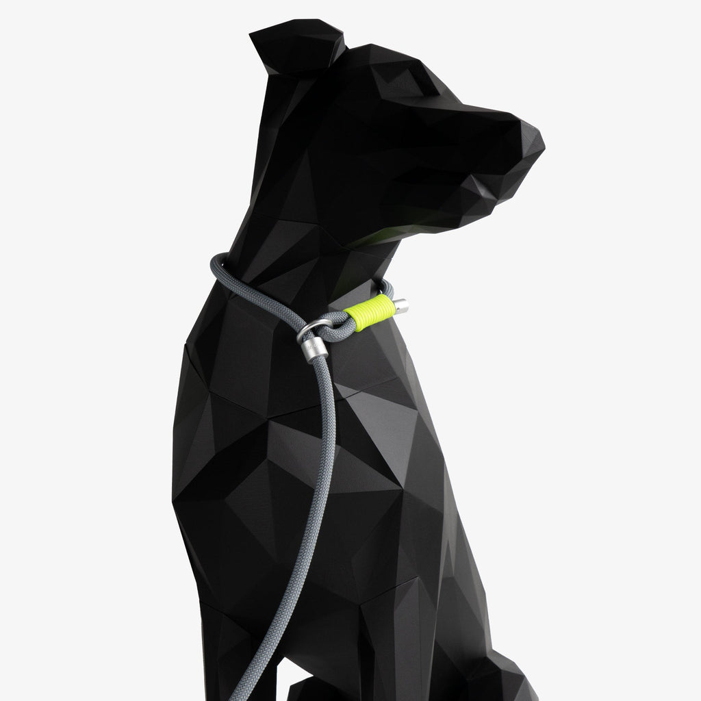 Braided Dog Slip Leash