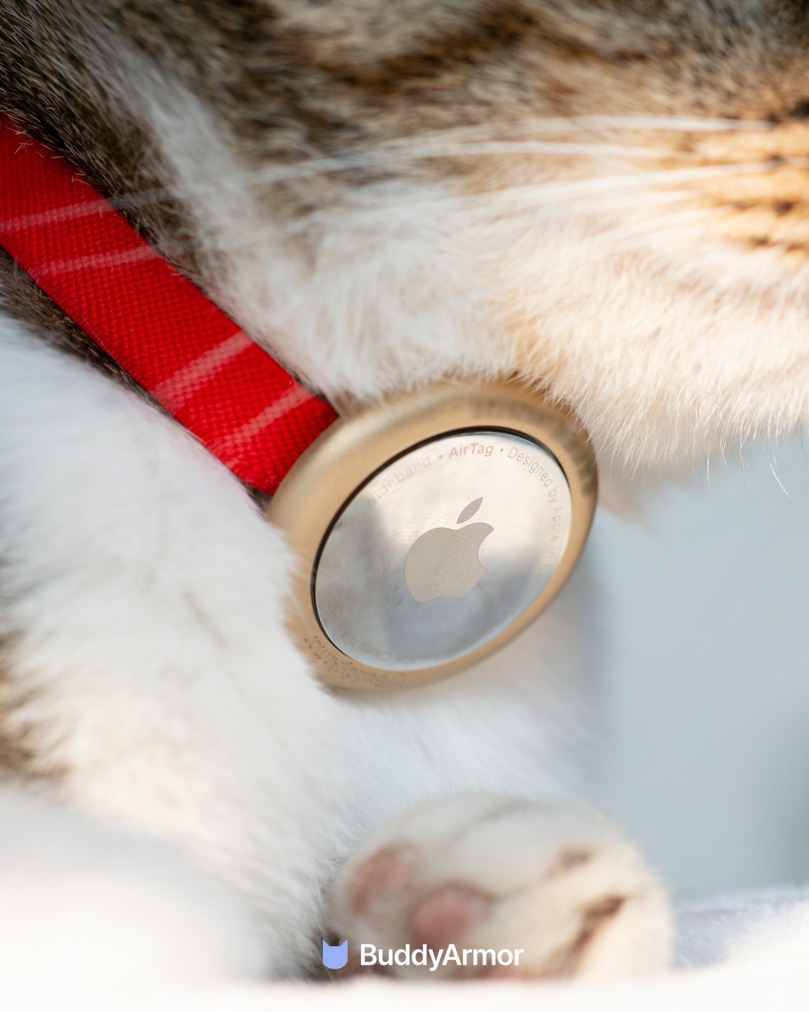 Aluminium Pet Collar AirTag Holder