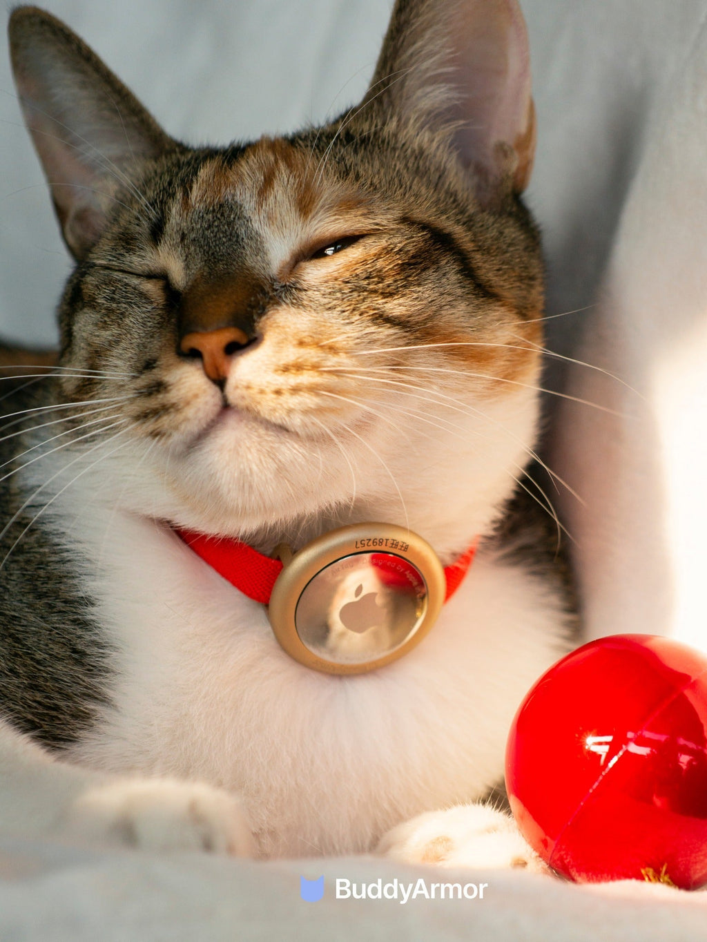 Aluminium Pet Collar AirTag Holder