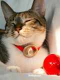 Aluminium Pet Collar AirTag Holder