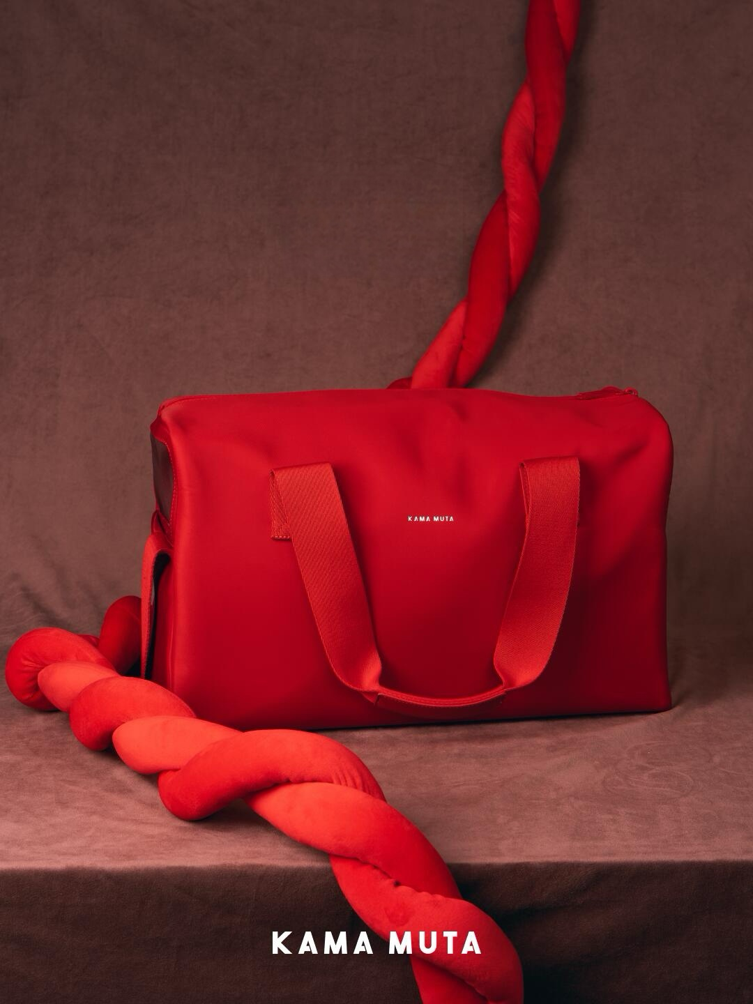 Escape-Proof Pet Carrier Bag