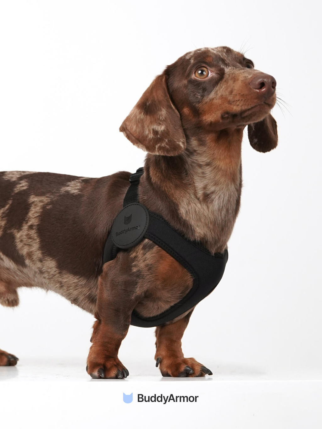 Ultra-Comfort™ Elastic Dog Harness