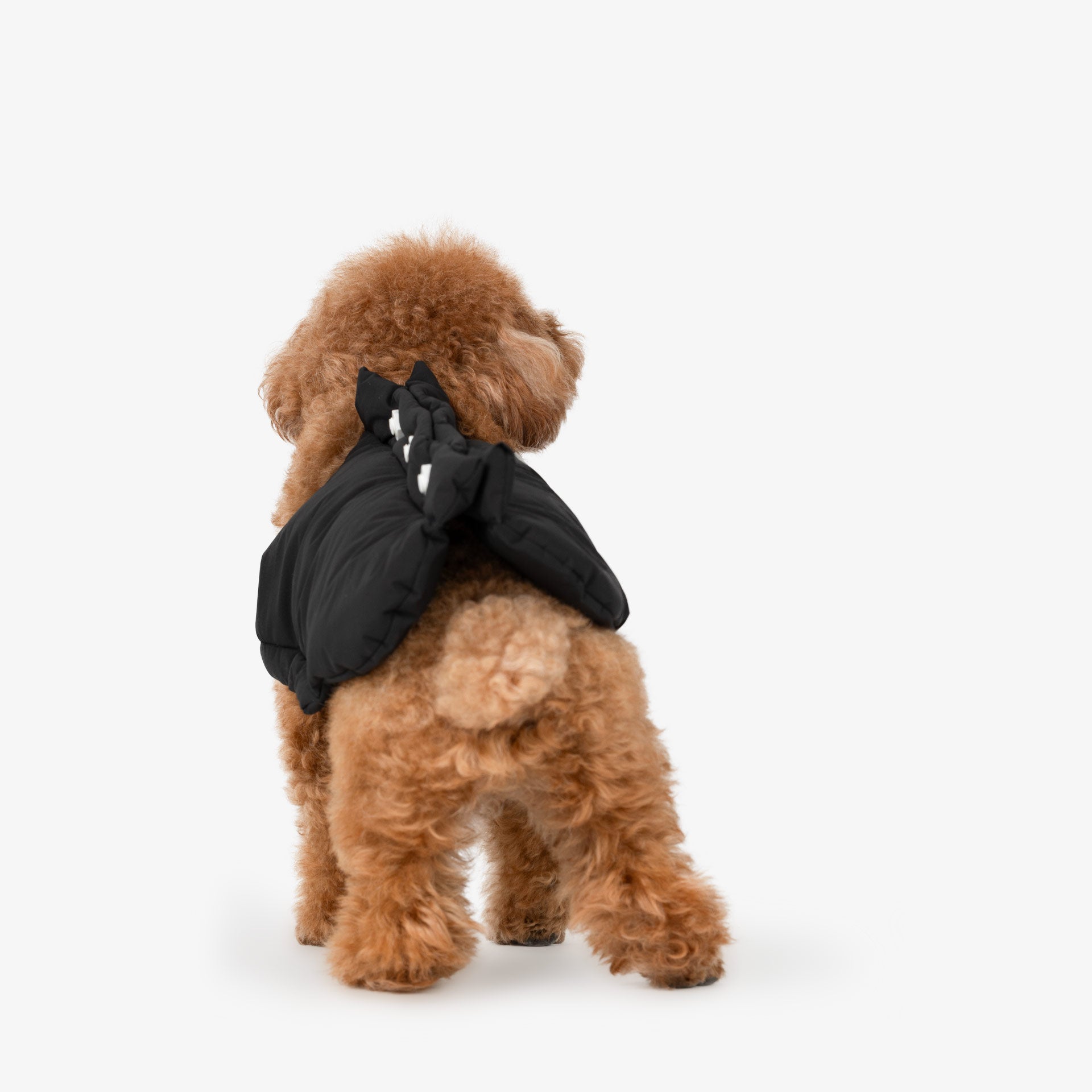 Bolts Dog Vest