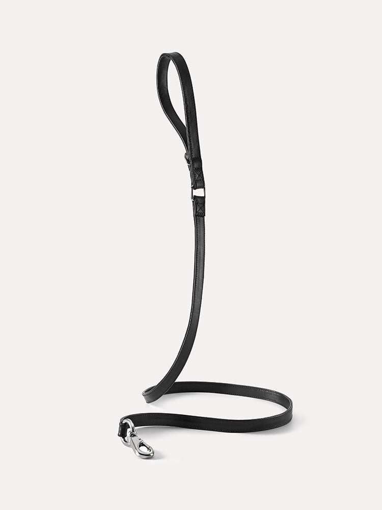 Leather Dog Leash