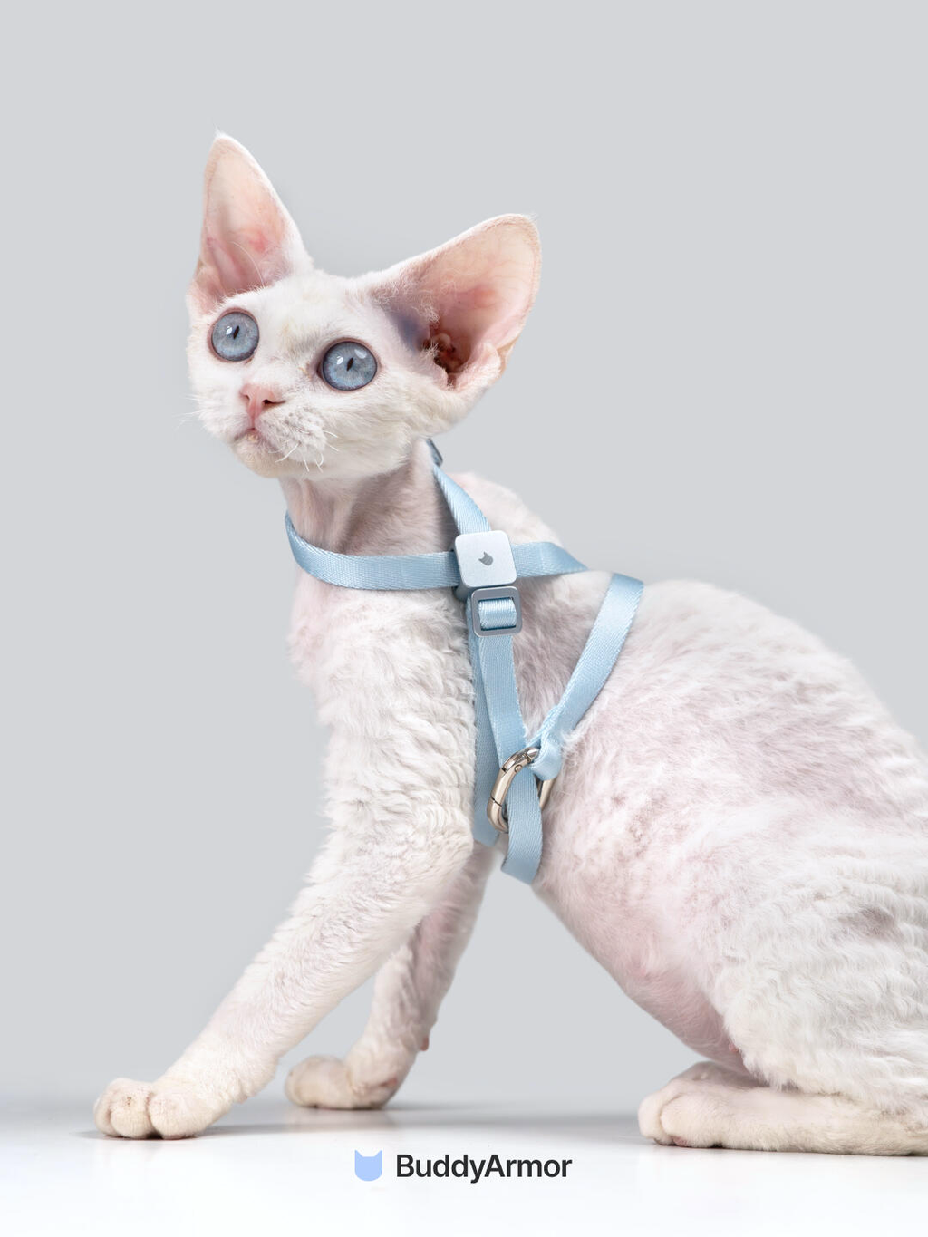 8-Shape Escape-Proof Cat Harness