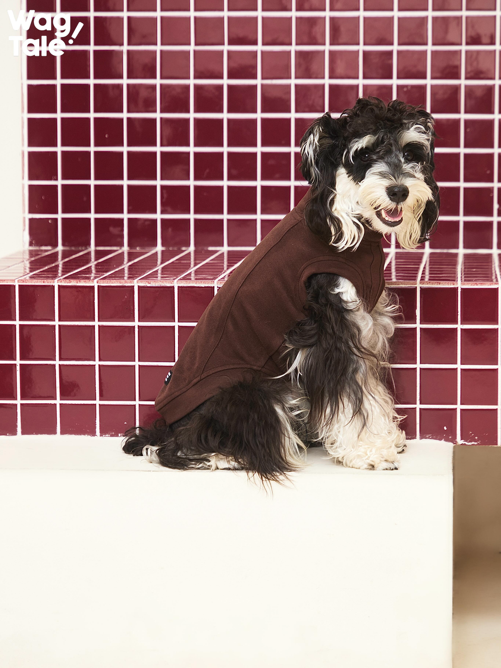 Stretch High Neck Dog Jumper