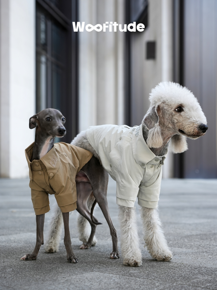 Breathable Dog Shirt
