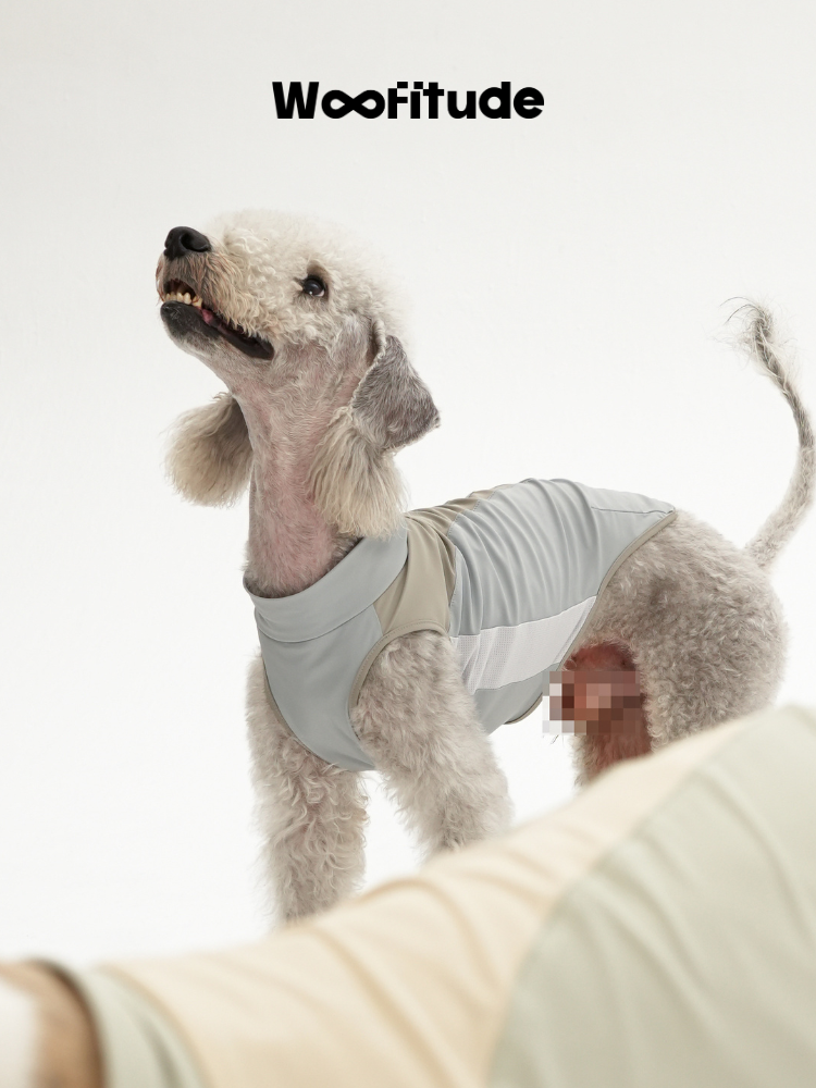 UV-Protective Dog Vest