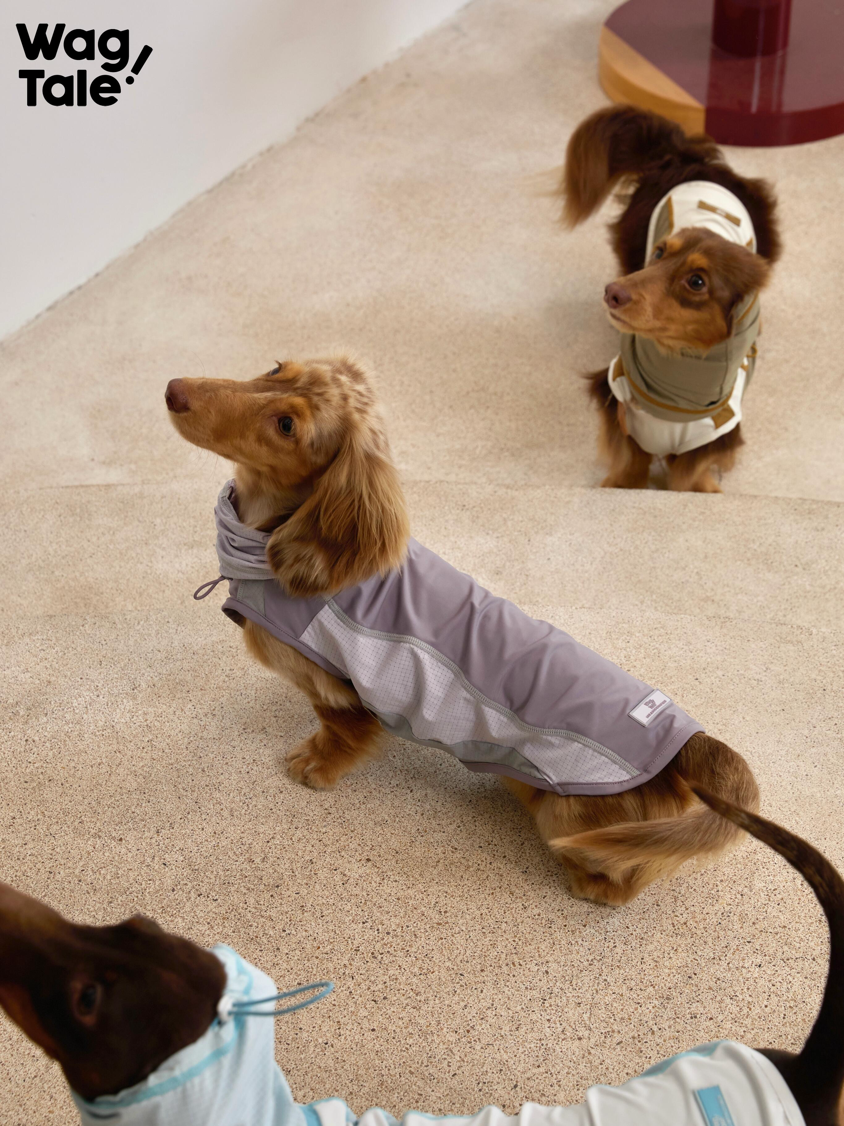 Sun-Protective Cooling Dog Vest