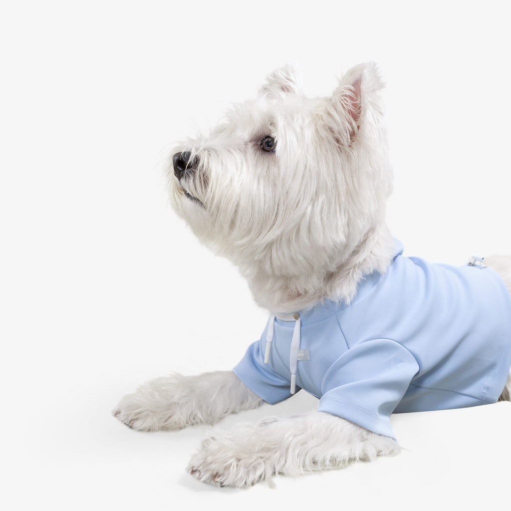 Dog Crop Top