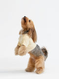 Dog Crop Top