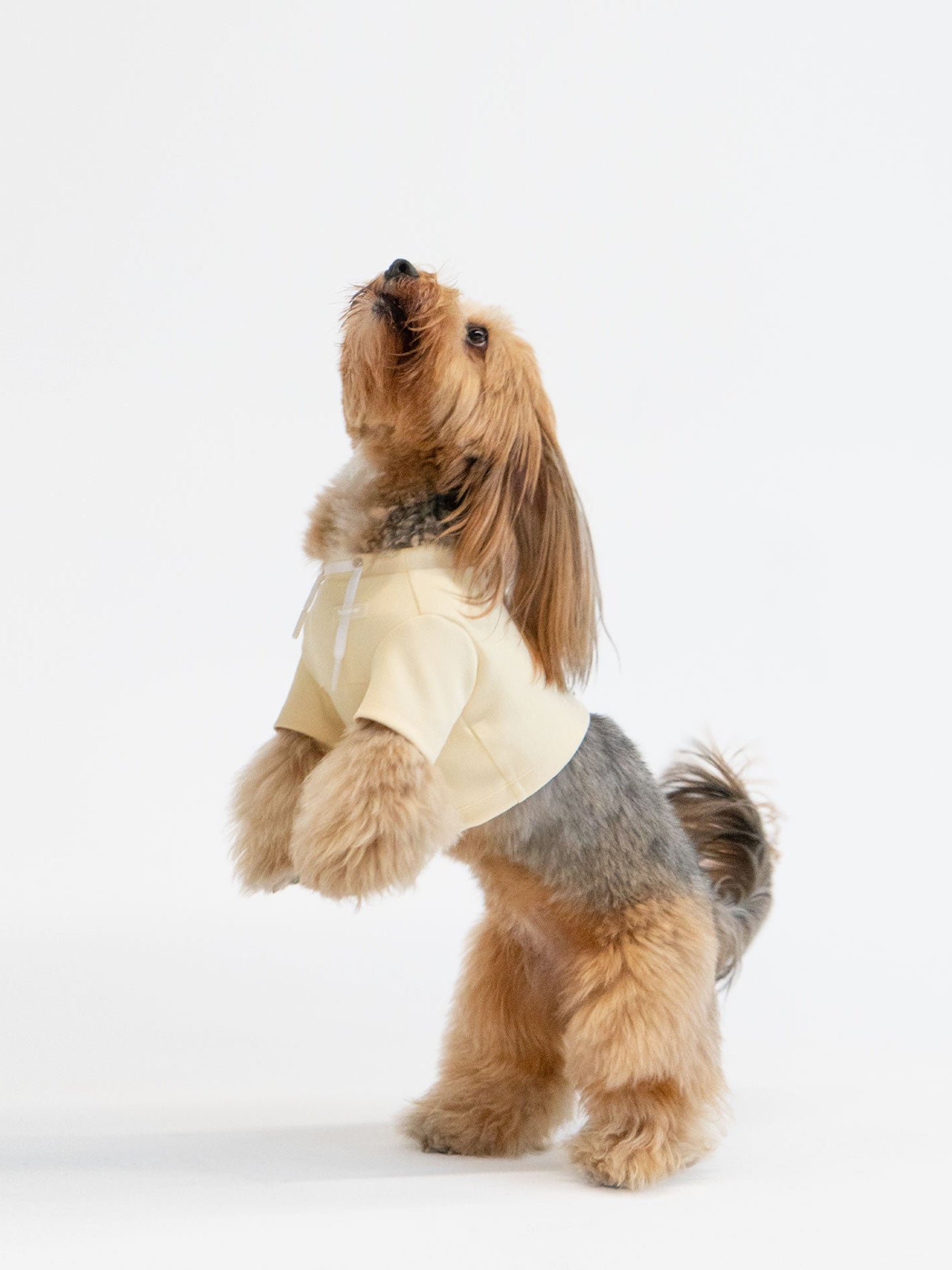 Dog Crop Top