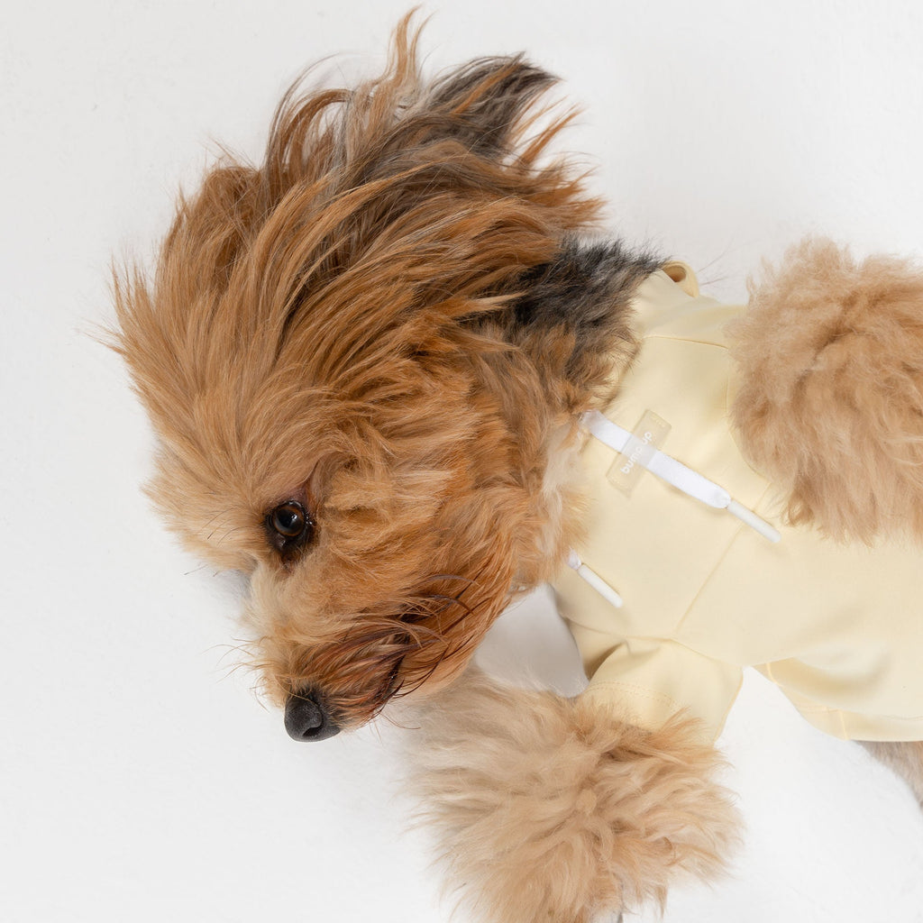 Dog Crop Top