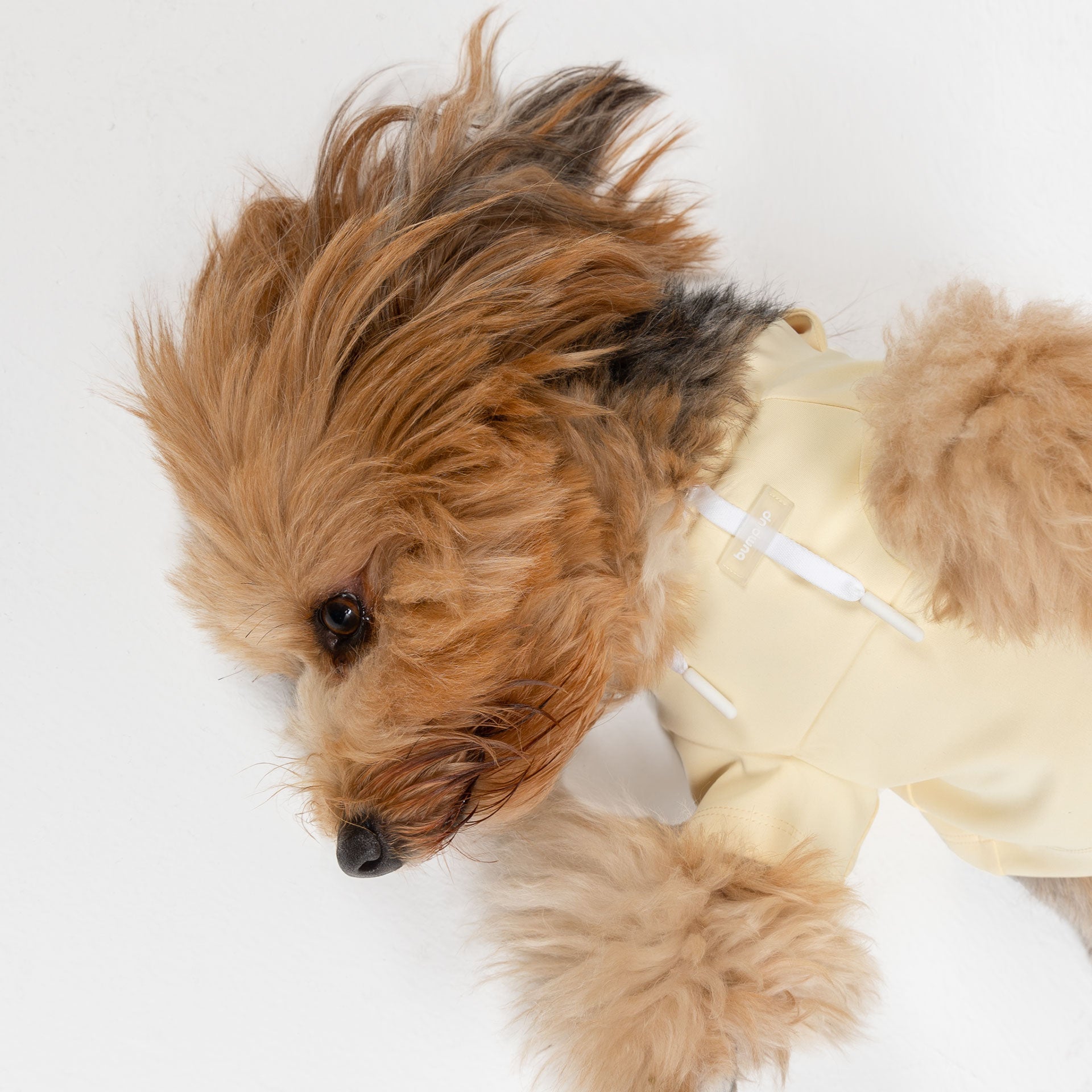Dog Crop Top