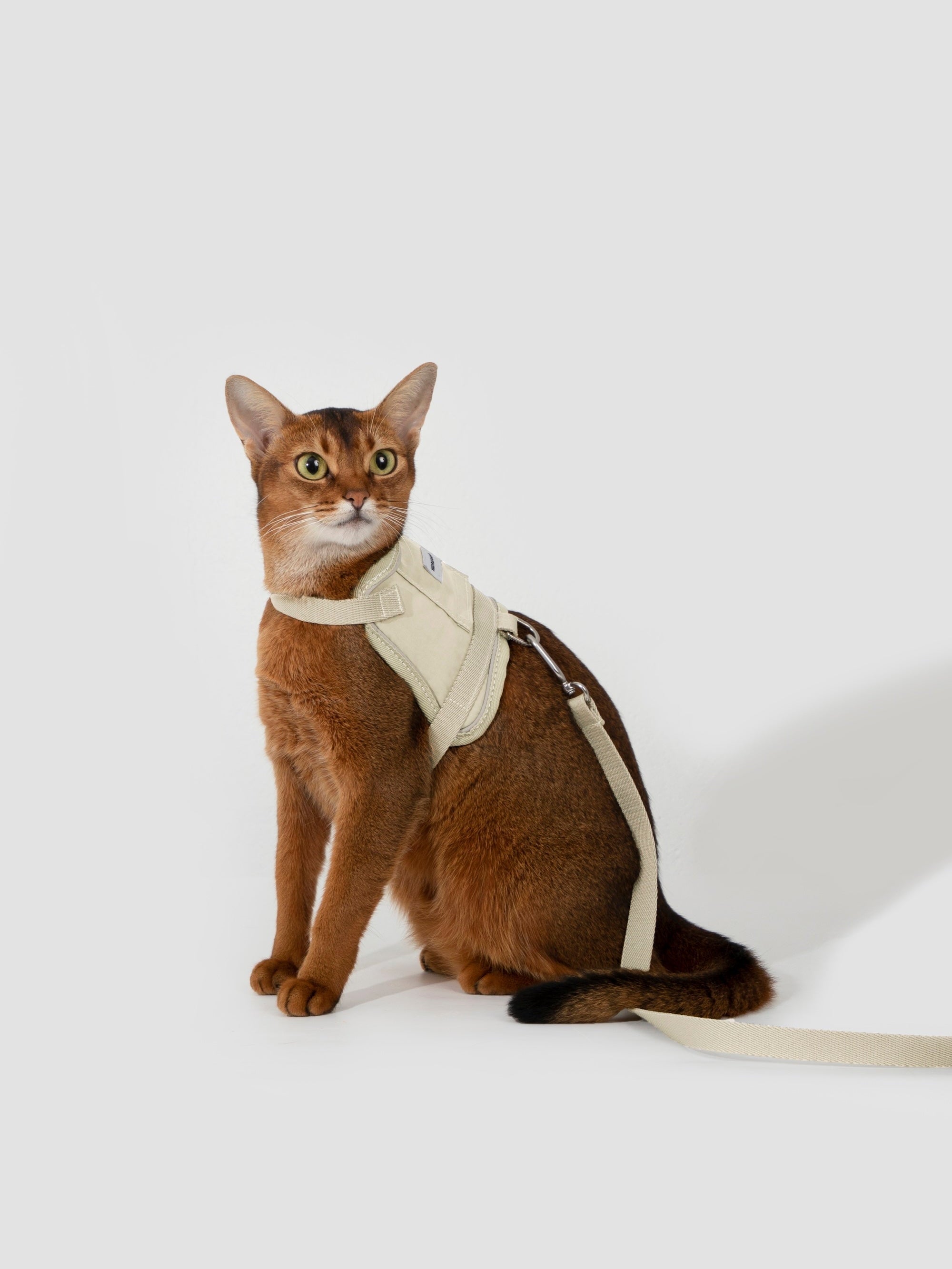 Cat Harness Leash Set