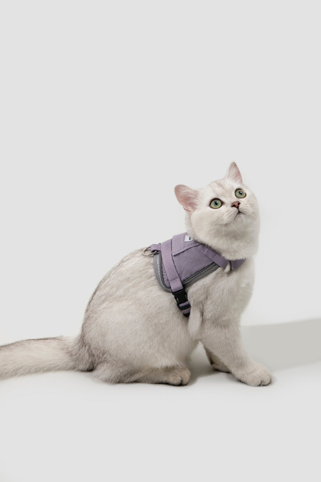 Cat Harness Leash Set