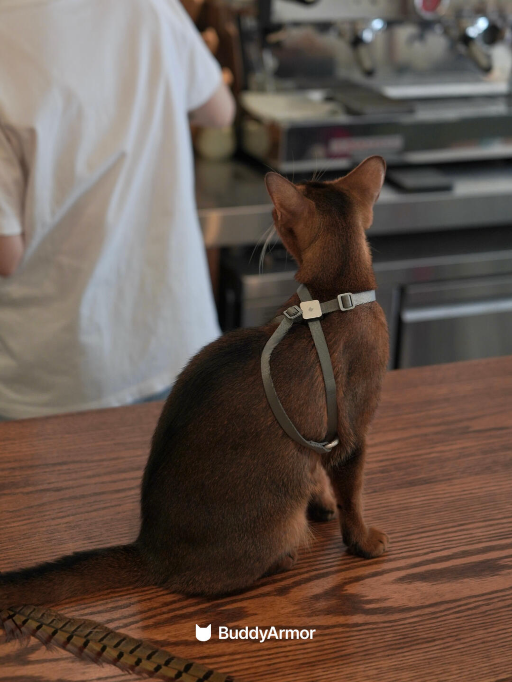 8-Shape Escape-Proof Cat Harness