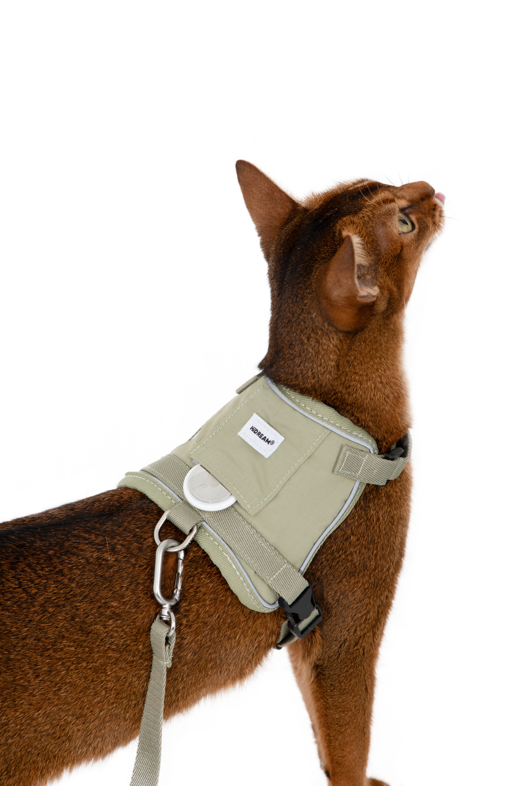 Cat Harness Leash Set