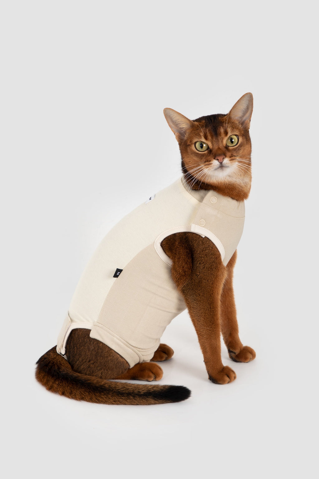 Lightweight Stretchy Cat Recovery Suit