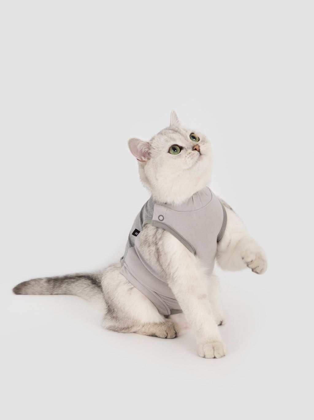 Lightweight Stretchy Cat Recovery Suit