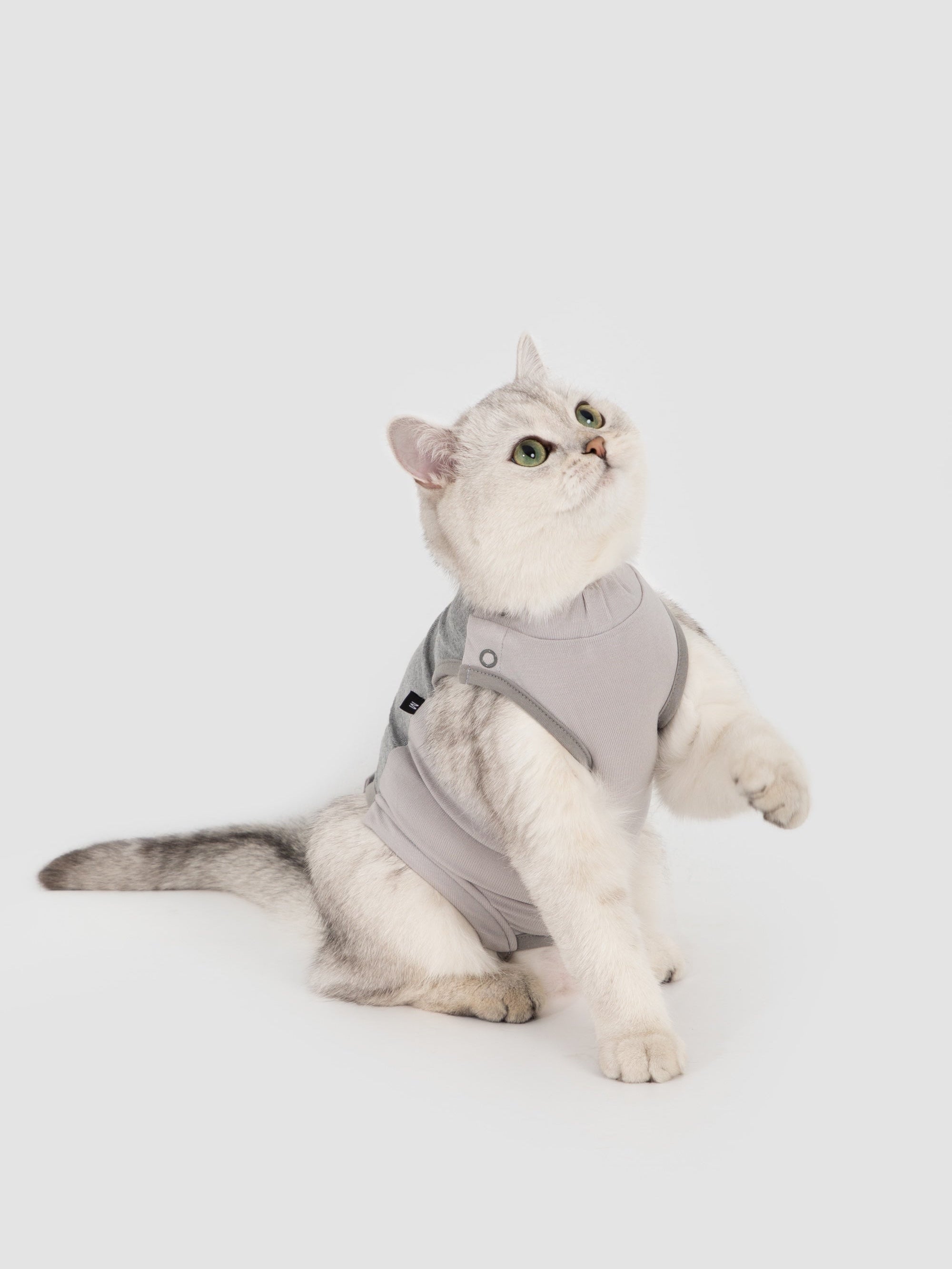 Lightweight Stretchy Cat Recovery Suit