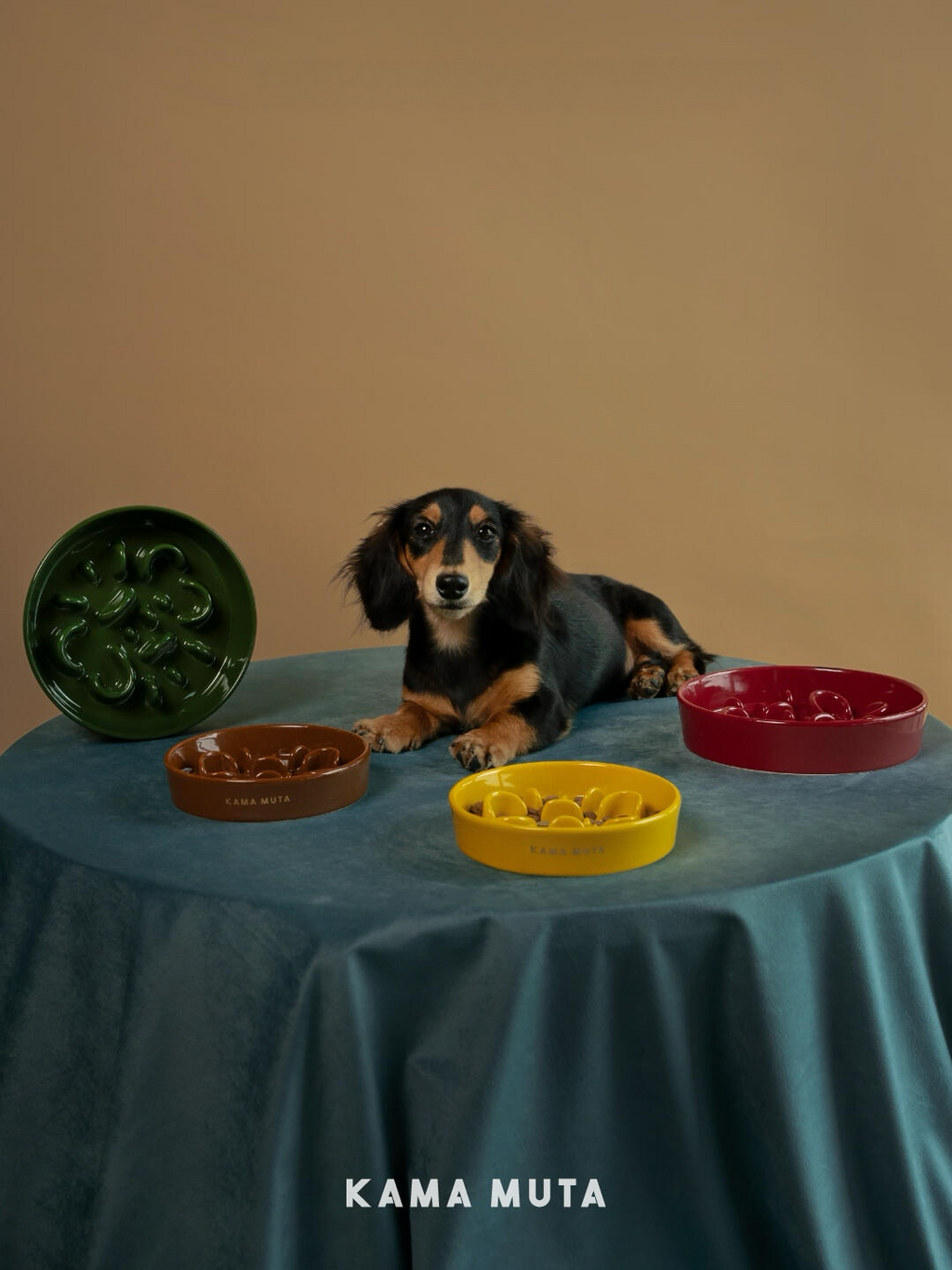 Ceramic Slow Feeder Bowl