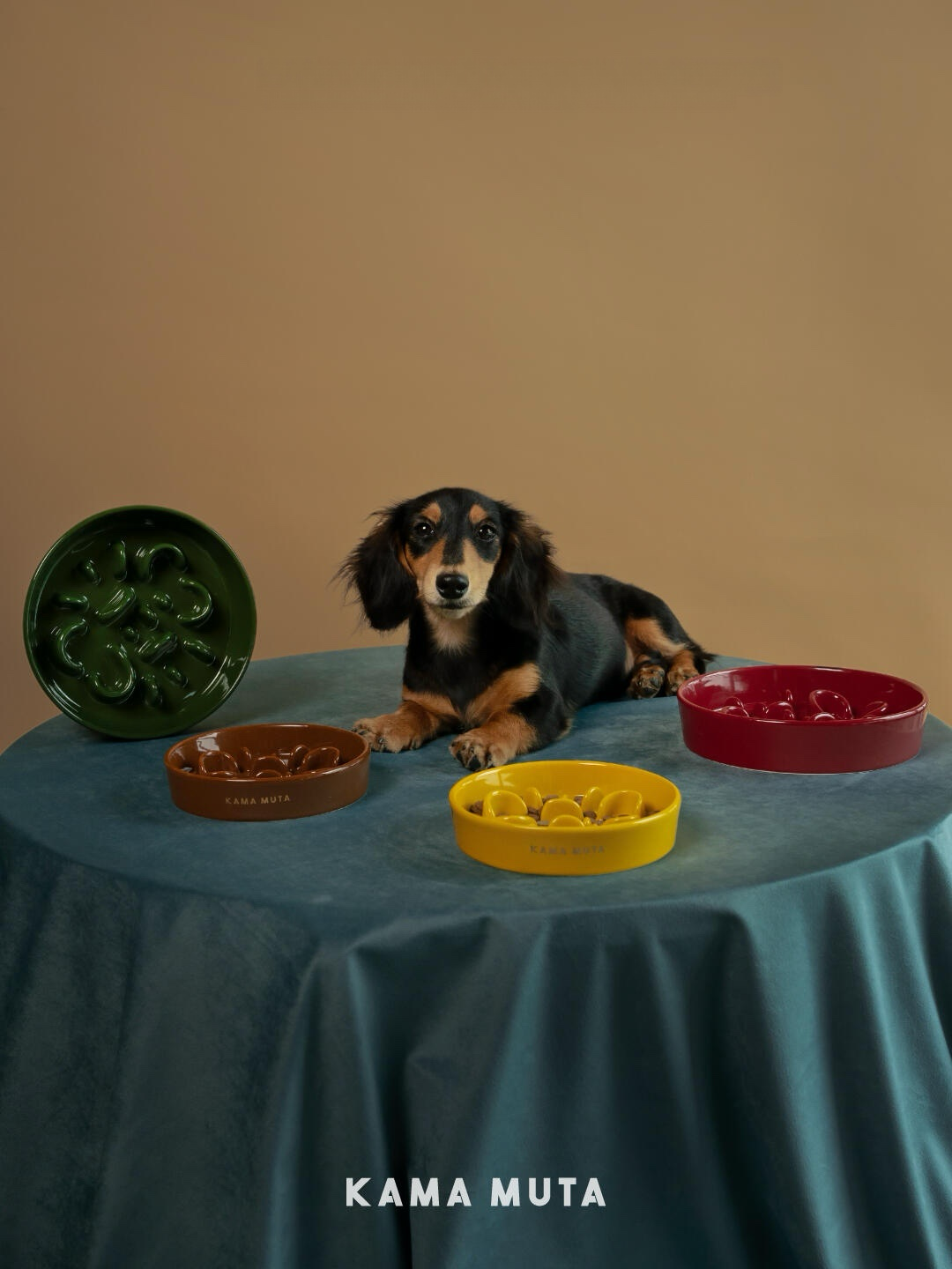 Ceramic Slow Feeder Bowl