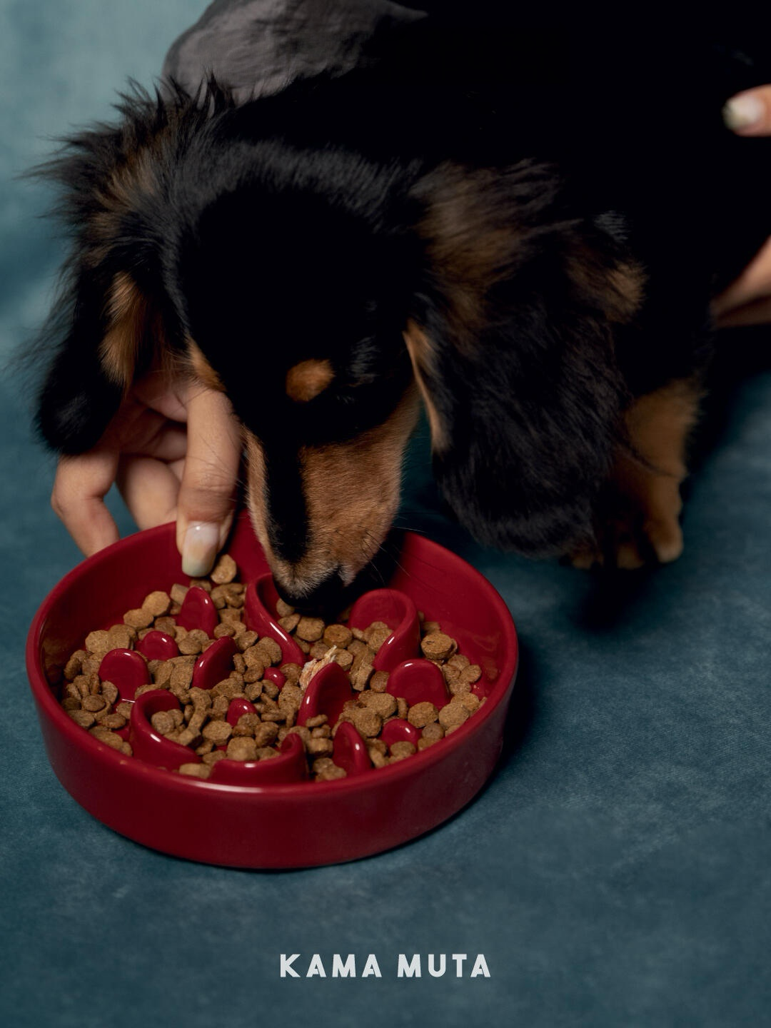 Ceramic Slow Feeder Bowl
