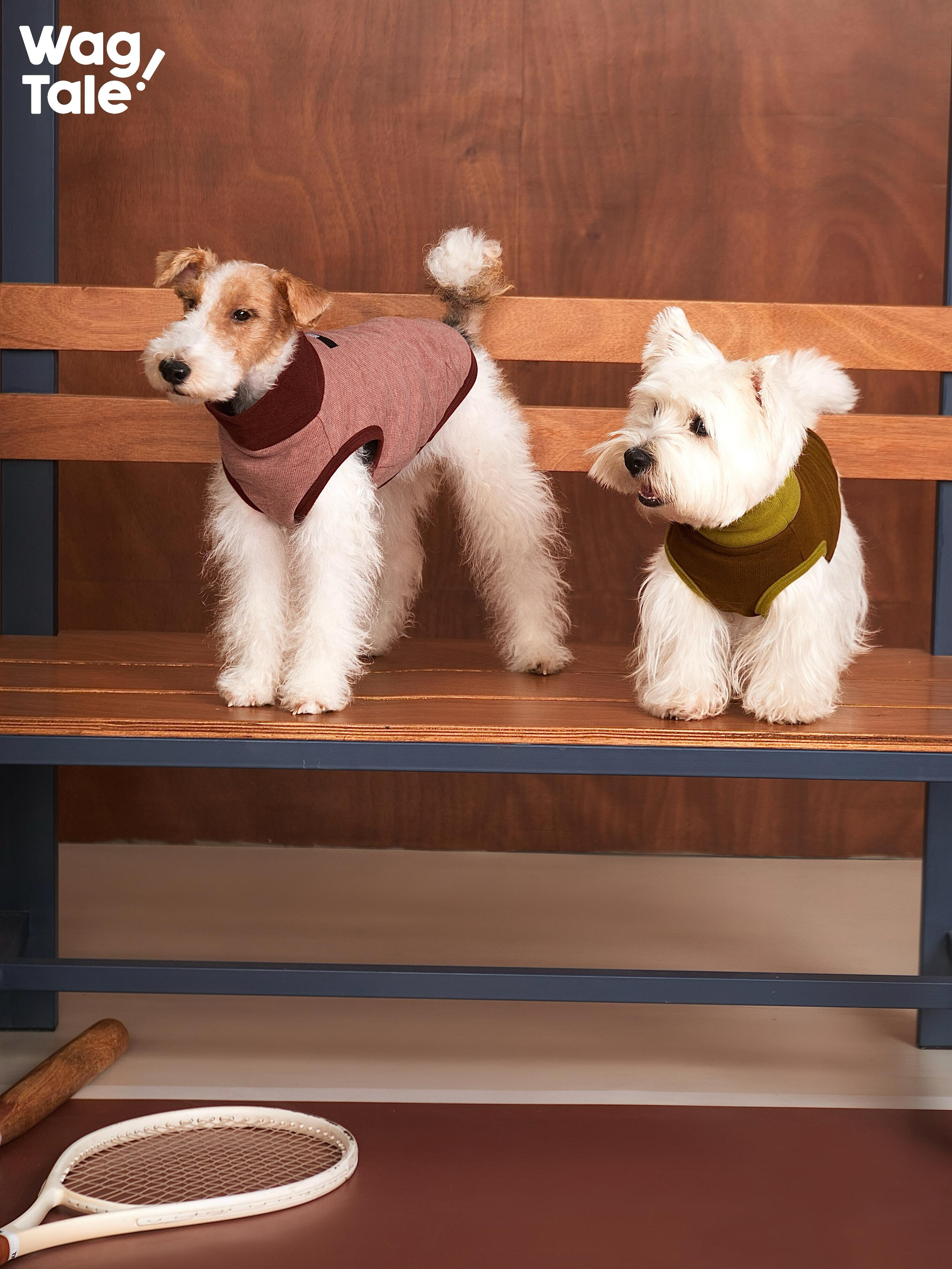 Breathable Thermal Dog Vest