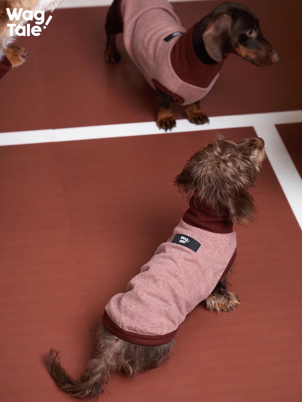 Breathable Thermal Dog Vest
