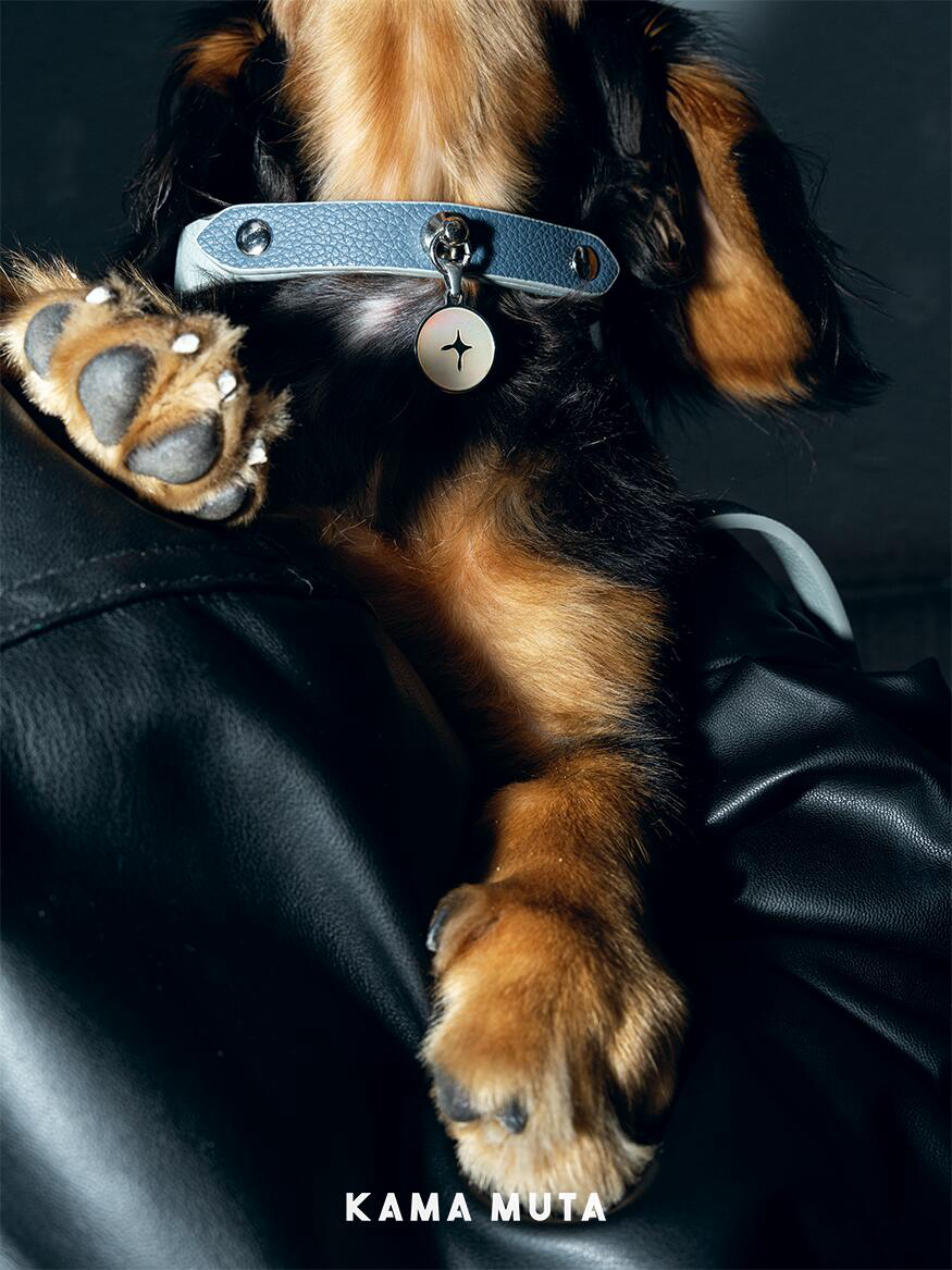 Leather Dog Collar with Pearl Charm