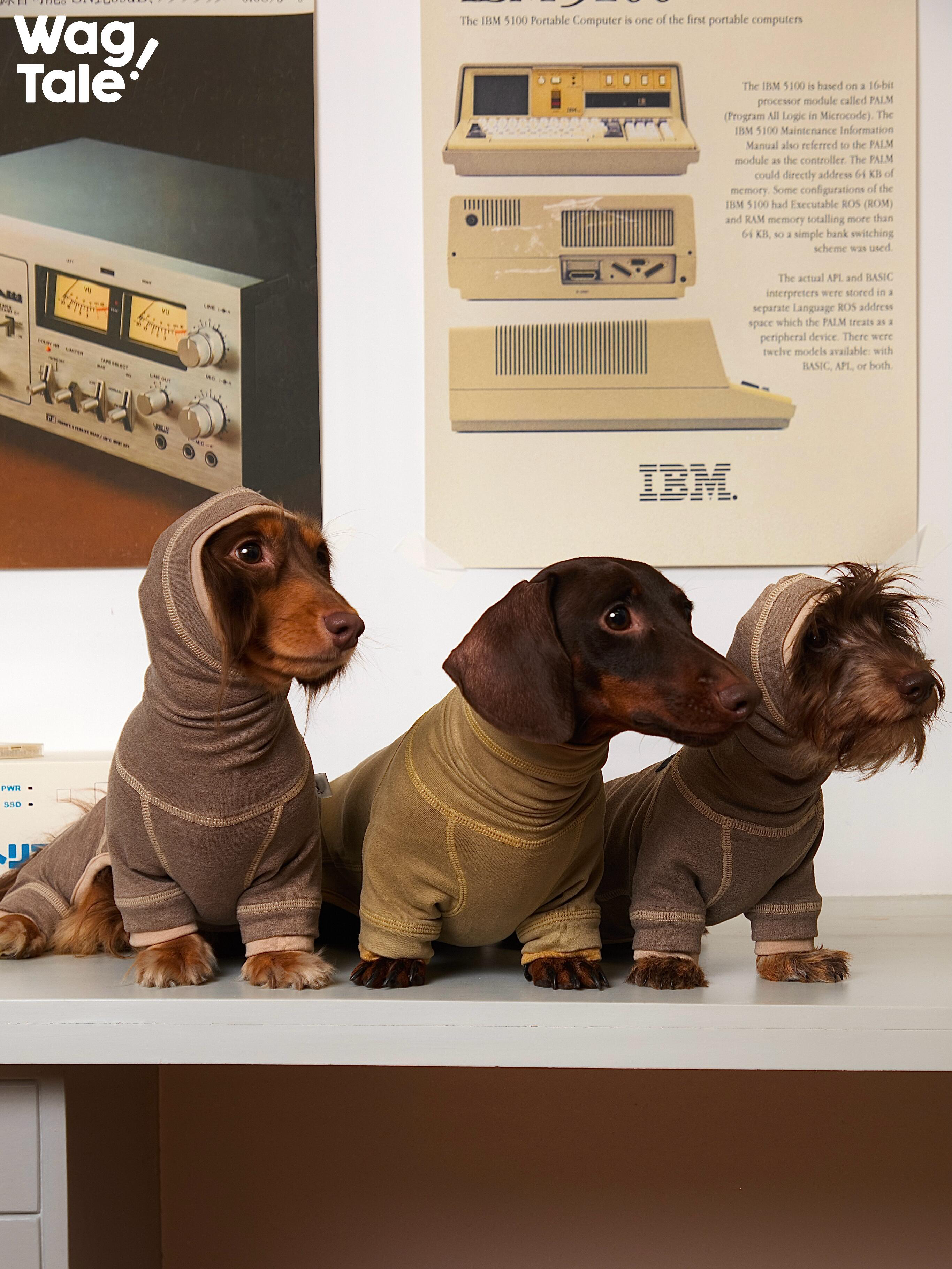 Anti-Static Thermal Dachshund Suit