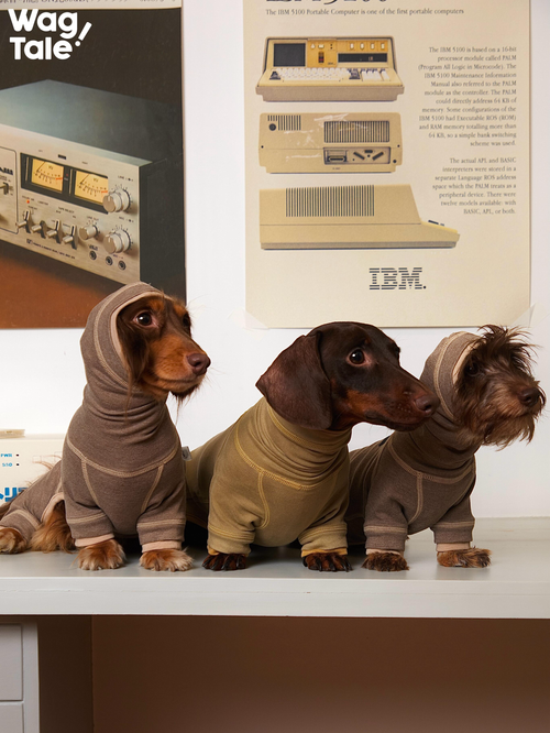 Anti-Static Thermal Dachshund Suit
